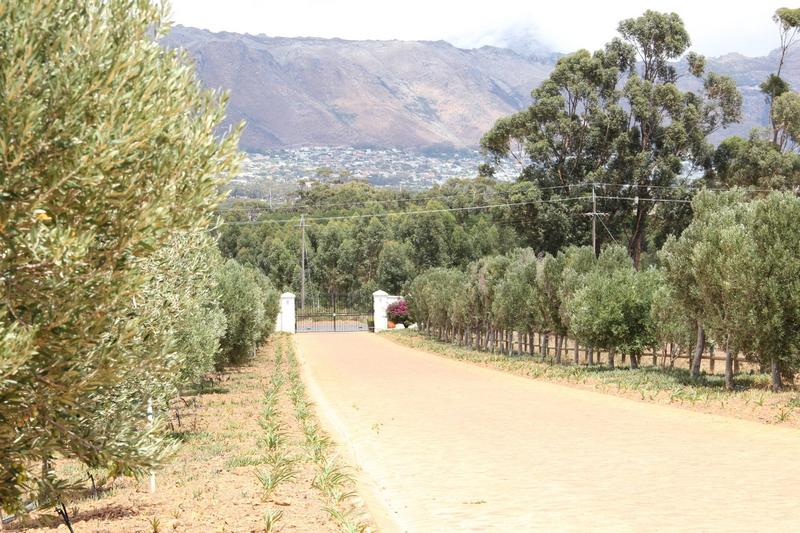 0 Bedroom Property for Sale in Somerset West Western Cape